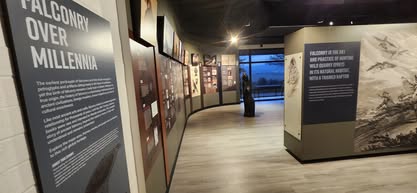 Original Logo - The Archives of Falconry